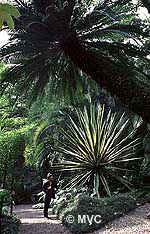Jardin la Concepcion