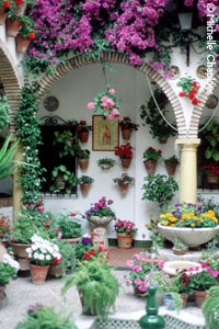 Floral Patio &copy; Michelle Chaplow