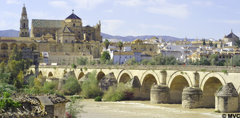The Roman bridge, Cordoba.
