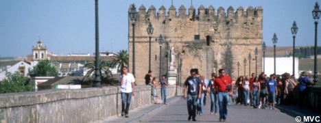 Torre de la Calahorra, roman bridge