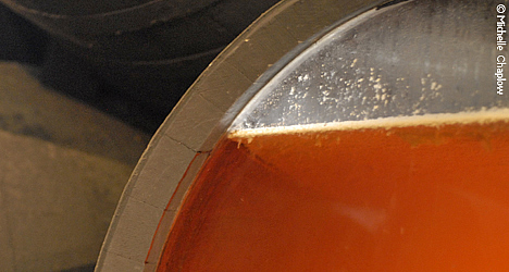 Visit a bodega to discover the different stages of the Sherry production process  &copy; Michelle Chaplow