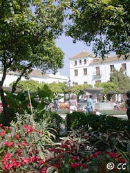 Plaza de las Flores