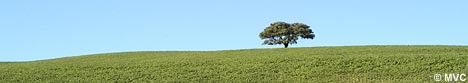 Rolling plains of Cordoba