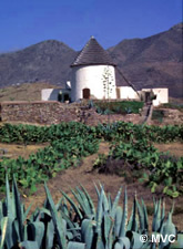 Exotic landsacpe of inland Almeria Exotic landsacpe of inland Almeria