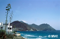 Wild unspoilt beaches Wild unspoilt beaches. © Michelle Chaplow