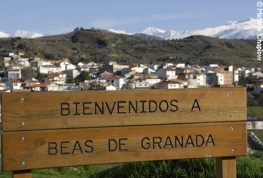 Beas de Granada &copy; Michelle Chaplow