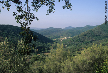 The Sierra de Aracena and Picos de Aroche natural park &copy; Michelle Chaplow