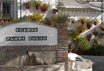Plaza Zalia. &copy; Michelle Chaplow