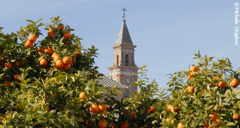 Orange trees and Church spires are emblematic elements of Carmona © Michelle Chaplow
