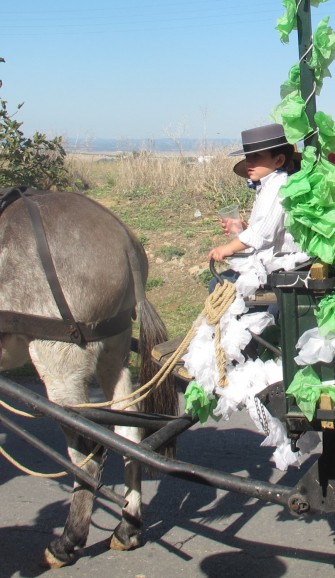 Boys with mule during the procession