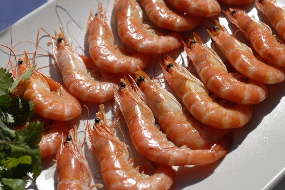 Prawns