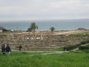 forum-with-palm-trees-and-sea1