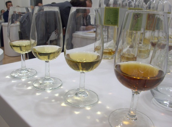 Four glasses of exquisite sherry - from fino (left) to amontillado (right).