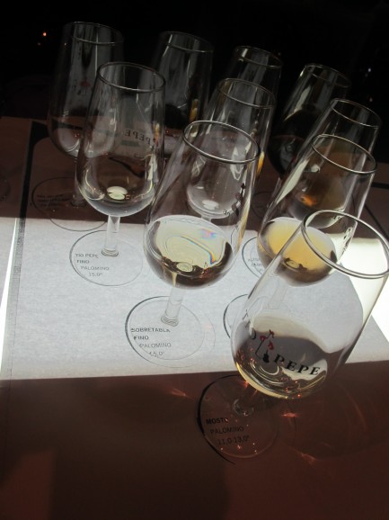 Glasses ready for sherry tasting