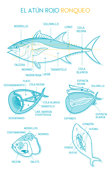 Diagram of a blue-fin tuna, showing all the cuts. Picture: El Campero restaurant (Barbate, Cadiz).