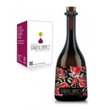 Cortijo Espíritu Santo es una de las fincas de olivos donde se puede ver cómo se elabora el aceite de oliva y alojarse en la finca.