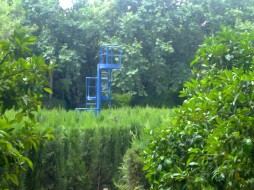 Watch Tower Maze