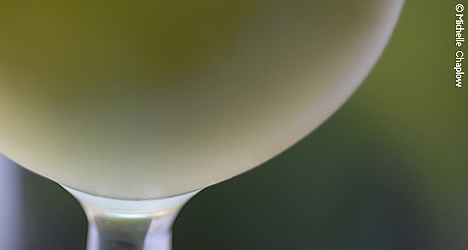 A chilled glass of Jerez-Xérès-Sherry. © Michelle Chaplow A chilled glass of Jerez-Xérès-Sherry. © Michelle Chaplow