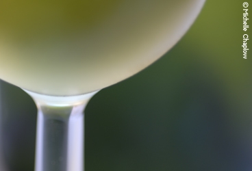 Sherry from Jerez de la Frontera. © Michelle Chaplow