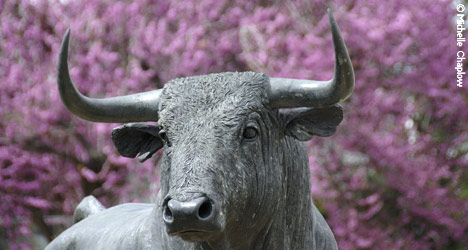 The Spanish Bull is an integral part of culture of Andalucia. © Michelle Chaplow The Spanish Bull is an integral part of culture of Andalucia. © Michelle Chaplow