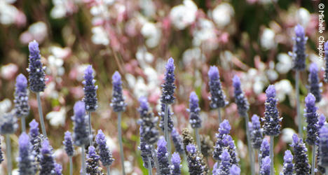Explore the public gardens of Marbella.
