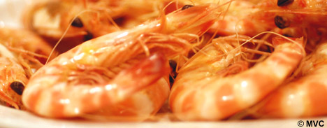 Fresh Prawns from Sanlucar de Barrameda. © Michelle Chaplow