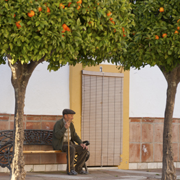 Genalguacil is one white Andalucian mountain village that art lovers will not want to miss. Genalguacil is one white Andalucian mountain village that art lovers will not want to miss.