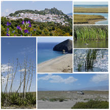 Amazingly wide variety - mountain ranges, desert, tidal marshes, ancient oak forests, beaches and cliffs.