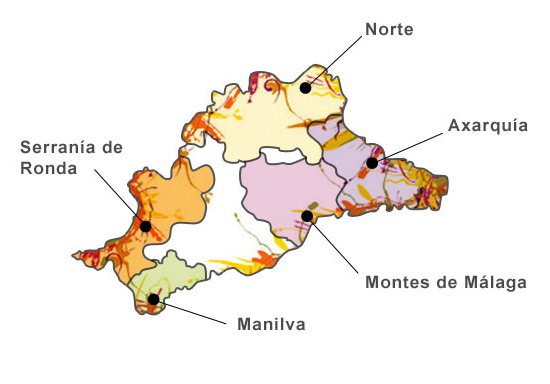 Malaga wine growing regions © DO Malaga.