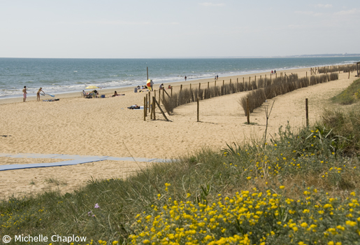The beaches of the Costa de la Luz are blessed with white sand. The beaches of the Costa de la Luz are blessed with white sand.