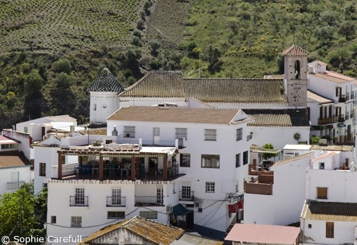 The village of Almachar on the Ruta de la Pasa (Raisin Route) in Malaga province. © Sophie Carefull The village of Almachar on the Ruta de la Pasa (Raisin Route) in Malaga province. © Sophie Carefull