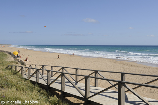 The idyllic Playa del Palmar, near Vejer de la Frontera.