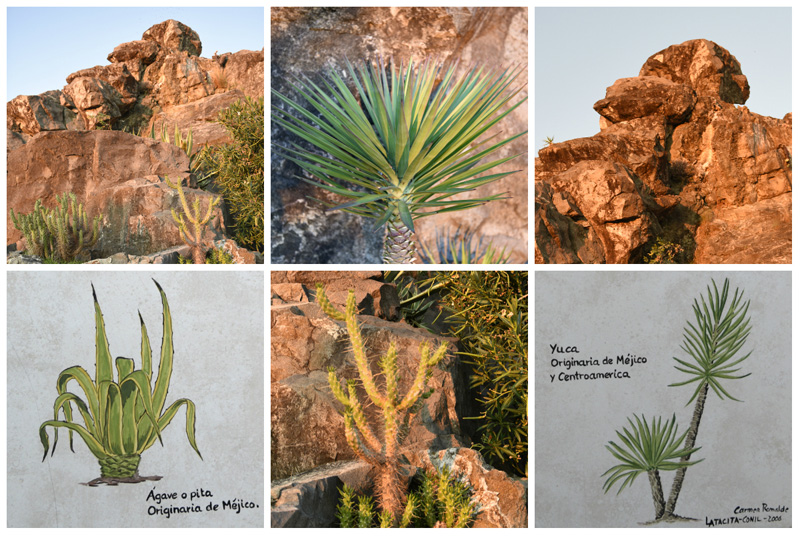 Las Peñas, a geological curiosity and the only example of its type, in the province of Cadiz ©Michelle Chaplow