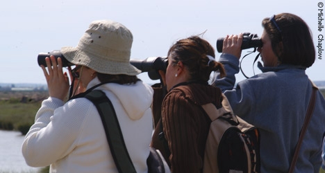 Bird watching in Coto Doñana. © Michelle Chaplow