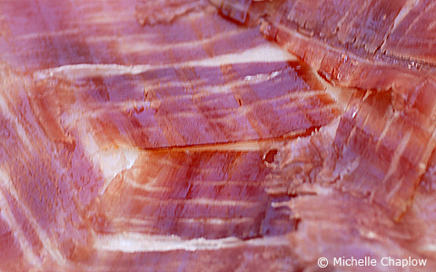 © Michelle Chaplow Jamon Serrano © Michelle Chaplow Jamon Serrano