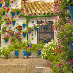 Every spring Córdoba bursts into bloom with the Patios Competition. This year it takes place from the 6th to 19th May 2019.