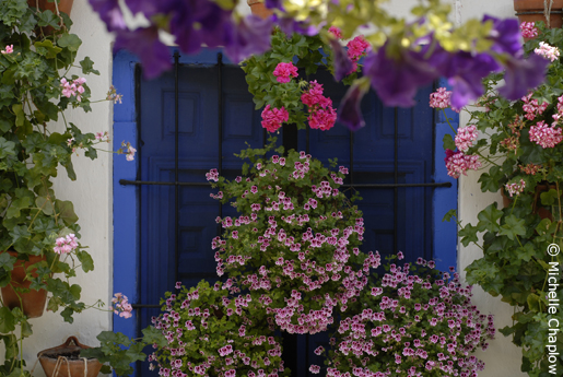 Most beautifully decorated patio contest. © Michelle Chaplow.