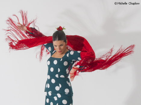 © Michelle Chaplow flamenco has descended from the ancient dances of the Indian Hindus © Michelle Chaplow flamenco has descended from the ancient dances of the Indian Hindus