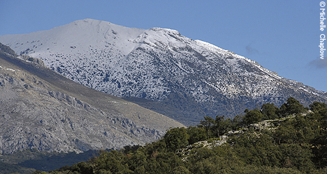 © Michelle Chaplow Snow on the Sierra de las Nieves