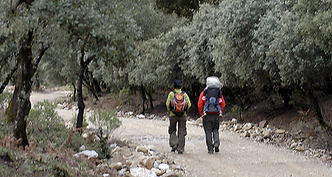 © Michelle Chaplow Walking in the Sierra de las Nieves nature reserve © Michelle Chaplow Walking in the Sierra de las Nieves nature reserve