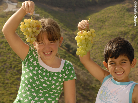 © Michelle Chaplow Local children enjoying the harvest, vinyards of Jorge Ordoñez, Malaga © Michelle Chaplow Local children enjoying the harvest, vinyards of Jorge Ordoñez, Malaga