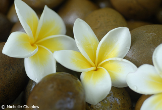 Spa © Michelle Chaplow