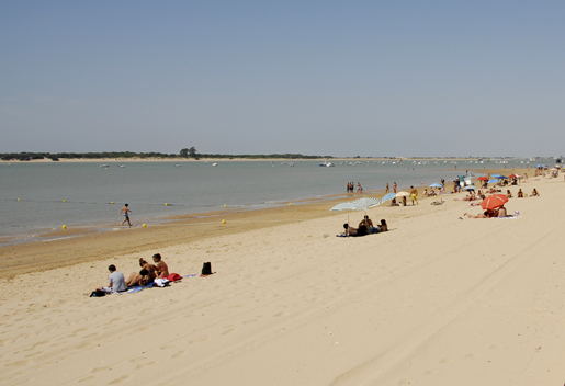 Sanlucar de Barrameda beaches have lovely, golden sand. Sanlucar de Barrameda beaches have lovely, golden sand.