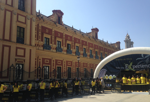 The Aceite Olive Experience next to Palacio San Telmo
