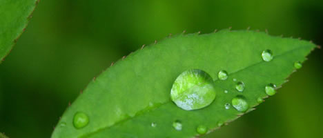 CFuerte Hotels Responsible Tourism