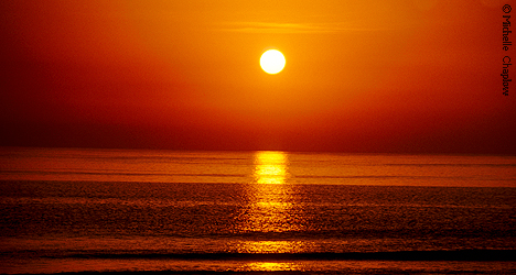 © Michelle Chaplow Marbella beach at sunset