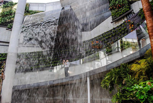 The waterfalls at the Orchid House are spectacular. The waterfalls at the Orchid House are spectacular.