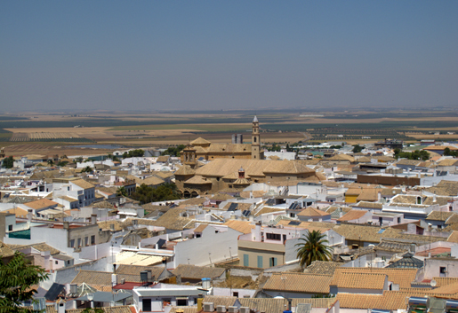 The historic town of Osuna seen from the Colegiata church on the hill. © Fiona Flores Watson The historic town of Osuna seen from the Colegiata on the hill. © Fiona Flores Watson