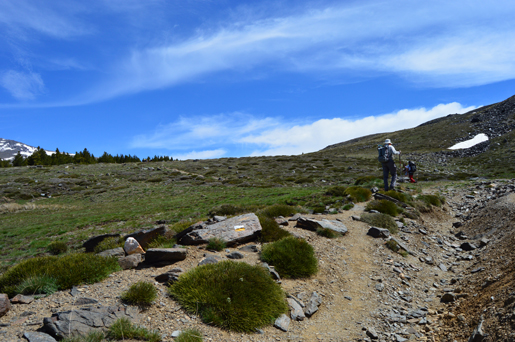 The Path from Capileira