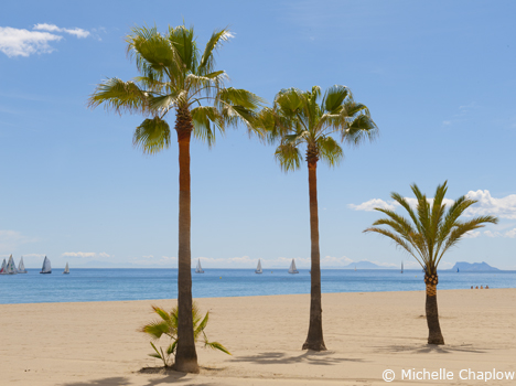 Beautiful Estepona Beach